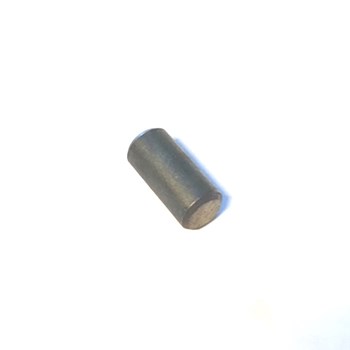 CYLINDERSTIFT PANTER
